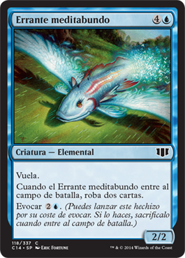 Errante meditabundo