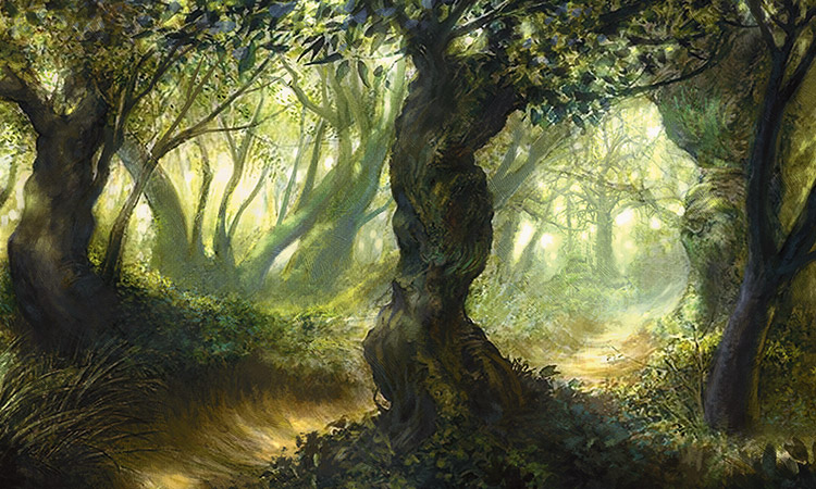 http://media.wizards.com/2015/images/daily/cardart_ORI_Forest-159391.jpg