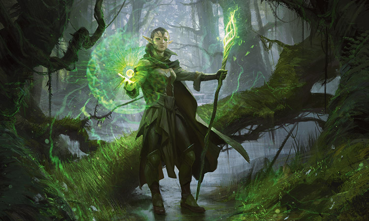 http://media.wizards.com/2015/images/daily/cardart_ORI_Nissa-Sage-Animist.jpg