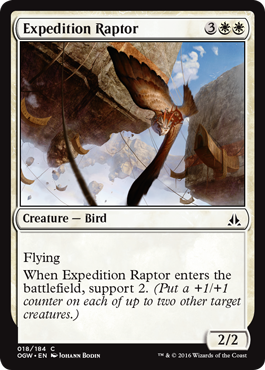 《探検の猛禽/Expedition Raptor》 [OGW]