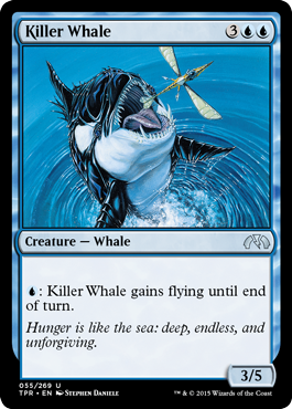 Killer Whale