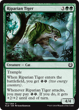 Riparian Tiger