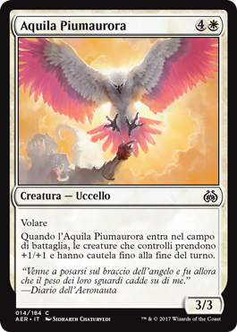 Aquila Piumaurora