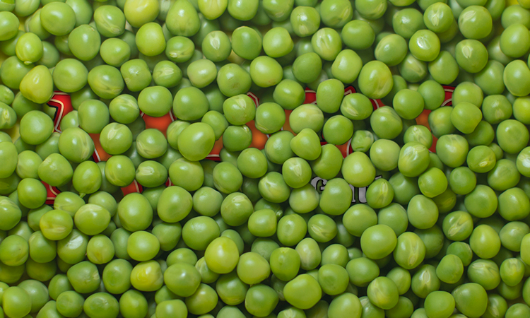 http://media.wizards.com/2016/images/daily/MM20160613_peas.jpg