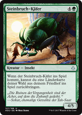 Steinbruch-Käfer