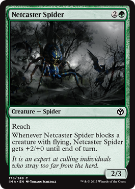 《網投げ蜘蛛/Netcaster Spider》 [IMA]