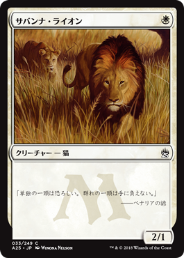《サバンナ・ライオン/Savannah Lions》 [A25]
