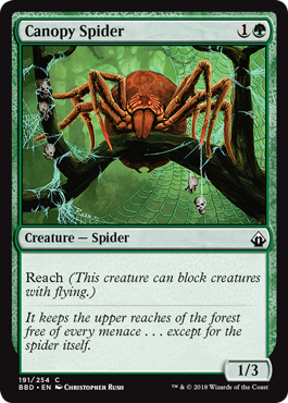 《梢の蜘蛛/Canopy Spider》 [BBD]