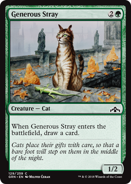 《気前のいい野良猫/Generous Stray》 [GRN]