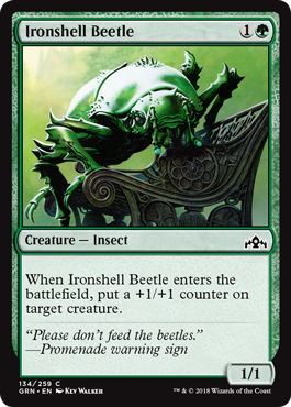 《鋼胴の甲虫/Ironshell Beetle》 [GRN]