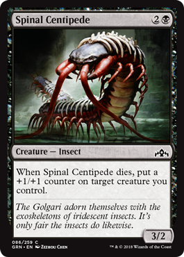 《背骨ムカデ/Spinal Centipede》 [GRN]