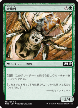 《大蜘蛛/Giant Spider》 [M19]