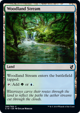 《森林地の小川/Woodland Stream》 [C19]
