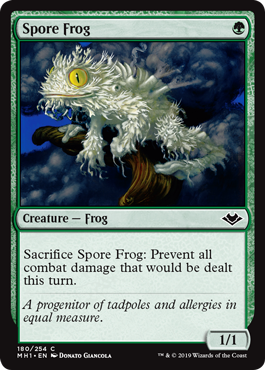 《胞子カエル/Spore Frog》 [MH1]