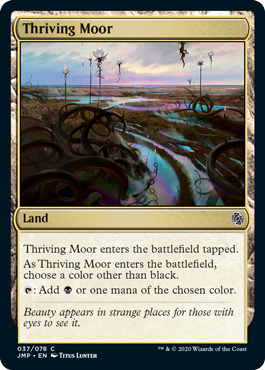 《興隆する湿地帯/Thriving Moor》 [JMP]