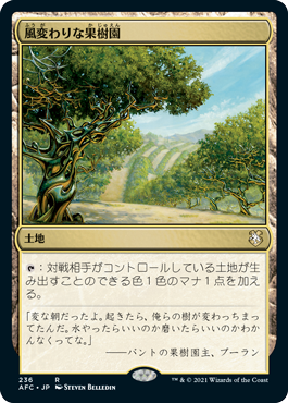 《風変わりな果樹園/Exotic Orchard》 [AFC]