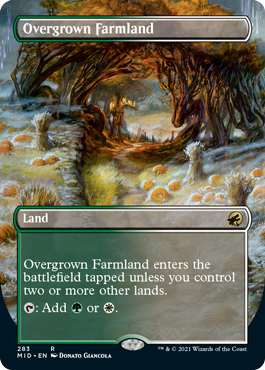 《草茂る農地/Overgrown Farmland》 [MID]