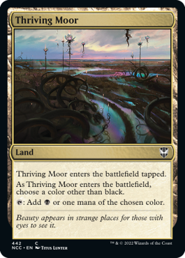 《興隆する湿地帯/Thriving Moor》 [NCC]