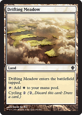 《漂う牧草地/Drifting Meadow》 [C13]