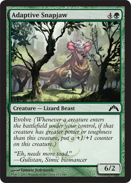 http://media.wizards.com/images/magic/tcg/products/gtc/swccqvb40q_en.jpg