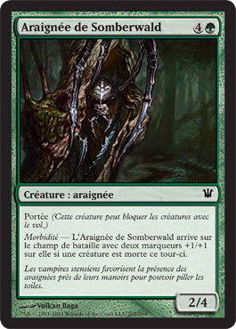 Somberwald Spider