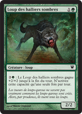 Darkthicket Wolf