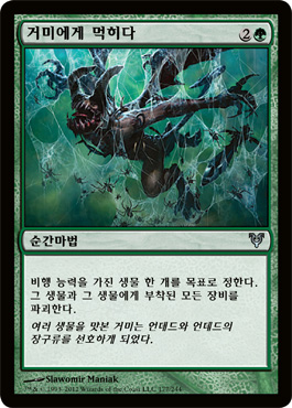 거미ì—게 먹히다