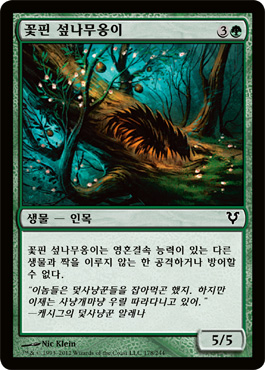 꽃핀 섶나무옹ì´