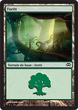 ForÃªt