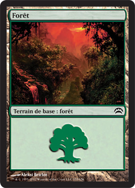 ForÃªt
