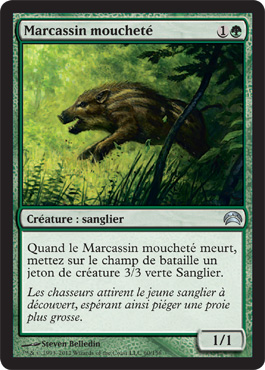 Marcassin mouchetÃ©