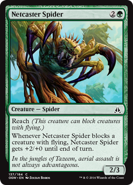 《網投げ蜘蛛/Netcaster Spider》 [OGW]