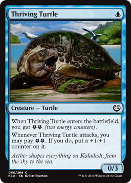 《亢進する亀/Thriving Turtle》 [KLD]