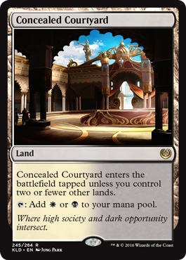 Concealed Courtyard