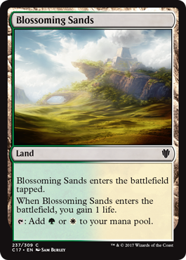 《花咲く砂地/Blossoming Sands》 [C17]