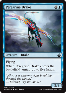 Peregrine Drake