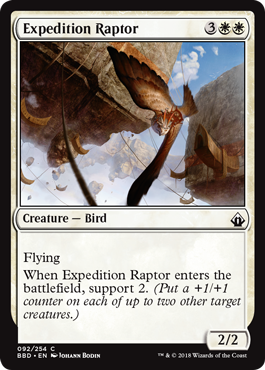 Expedition Raptor (Rapace d’expédition)
