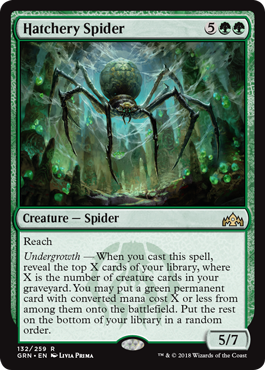 《孵卵場の蜘蛛/Hatchery Spider》 [GRN]