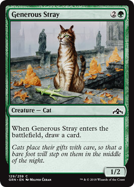 Generous Stray