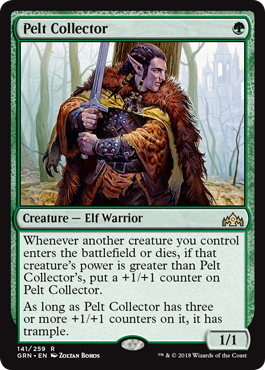 《生皮収集家/Pelt Collector》 [GRN]