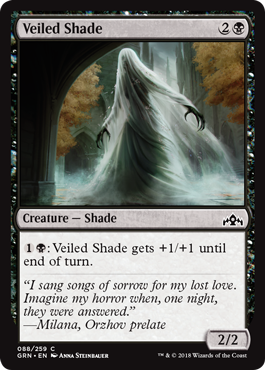 《隠された影/Veiled Shade》 [GRN]