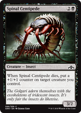 Spinal Centipede