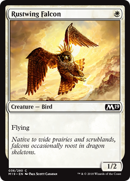 Rustwing Falcon