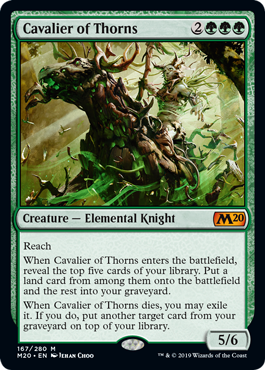 Cavalier of Thorns