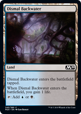 Dismal Backwater