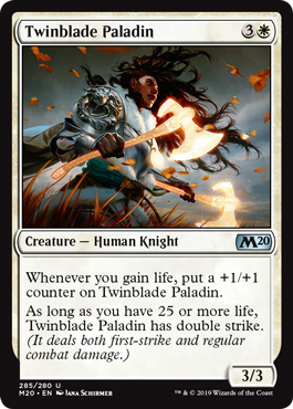 Twinblade Paladin