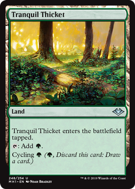 Tranquil Thicket