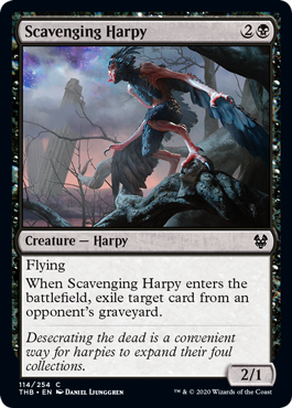 Scavenging Harpy