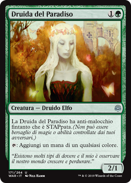 Druida del Paradiso