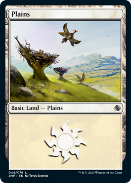 Feathered Friends Plains